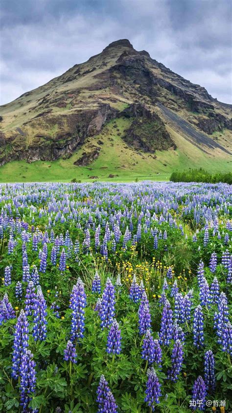 八字之中土旺的男人好不好,五行之土旺代表着什么,第2张 八字之中土旺的男人好不好,五行之土旺代表着什么,第2张